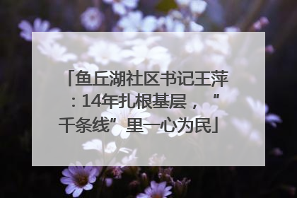 鱼丘湖社区书记王萍：14年扎根基层，“千条线”里一心为民