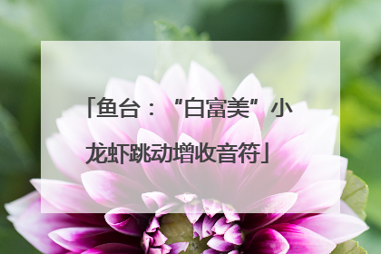 鱼台：“白富美”小龙虾跳动增收音符