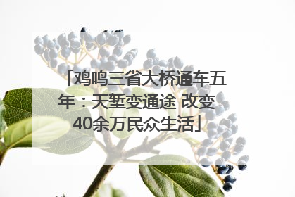 鸡鸣三省大桥通车五年：天堑变通途 改变40余万民众生活