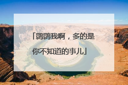 鹮鹮我啊，多的是你不知道的事儿