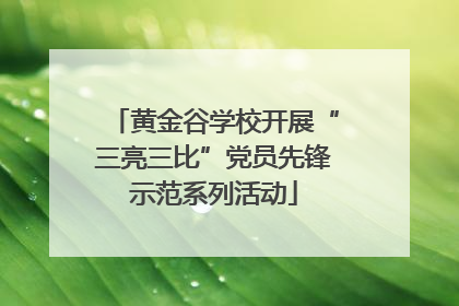 黄金谷学校开展“三亮三比”党员先锋示范系列活动