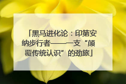 黑马进化论：印第安纳步行者——一支“颠覆传统认识”的劲旅