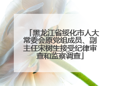 黑龙江省绥化市人大常委会原党组成员、副主任宋树生接受纪律审查和监察调查