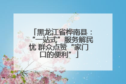 黑龙江省桦南县：“一站式”服务解民忧 群众点赞“家门口的便利”