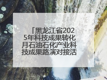 黑龙江省2025年科技成果转化月石油石化产业科技成果路演对接活动在大庆举办