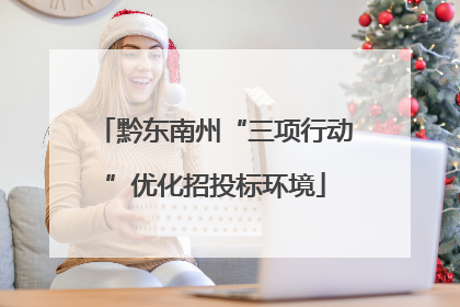 黔东南州“三项行动”优化招投标环境