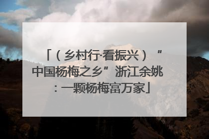 （乡村行·看振兴）“中国杨梅之乡”浙江余姚：一颗杨梅富万家