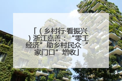 （乡村行·看振兴）浙江嘉善：“零工经济”助乡村民众“家门口”增收