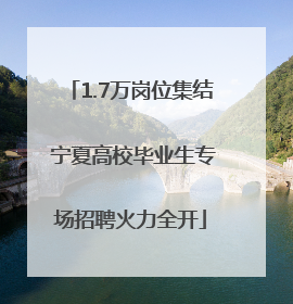 1.7万岗位集结 宁夏高校毕业生专场招聘火力全开