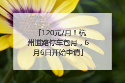 120元/月!杭州道路停车包月,6月6日开始申请