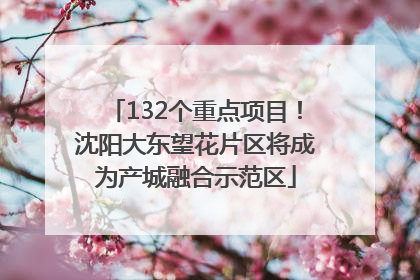 132个重点项目！沈阳大东望花片区将成为产城融合示范区