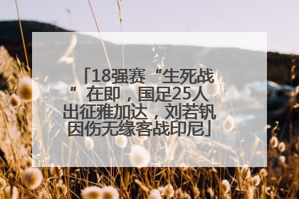 18强赛“生死战”在即，国足25人出征雅加达，刘若钒因伤无缘客战印尼