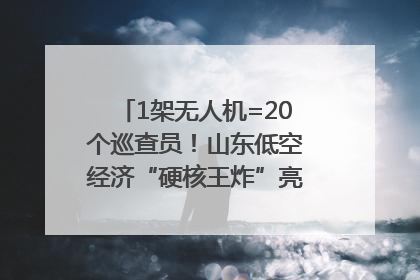 1架无人机=20个巡查员！山东低空经济“硬核王炸”亮相青岛，下一个万亿赛道藏在这里