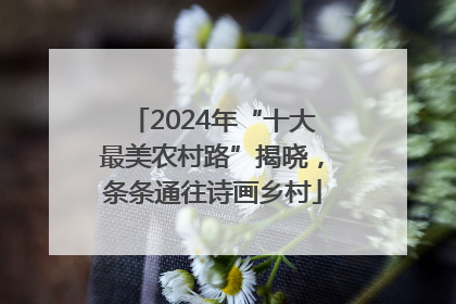 2024年“十大最美农村路”揭晓，条条通往诗画乡村