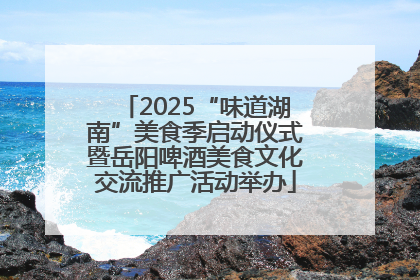 2025“味道湖南”美食季启动仪式暨岳阳啤酒美食文化交流推广活动举办