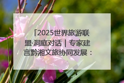 2025世界旅游联盟·洞庭对话｜专家建言黔湘文旅协同发展：聚焦产品稀缺性 深化区域经验共享