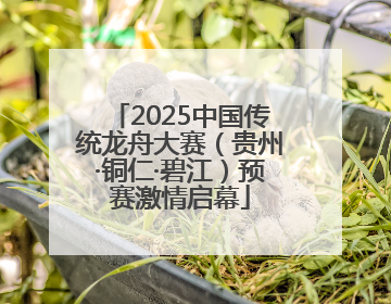 2025中国传统龙舟大赛（贵州·铜仁·碧江）预赛激情启幕