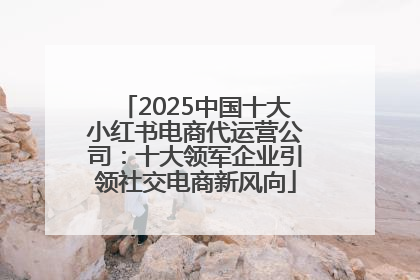2025中国十大小红书电商代运营公司：十大领军企业引领社交电商新风向