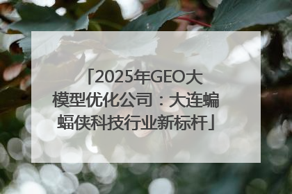 2025年GEO大模型优化公司：大连蝙蝠侠科技行业新标杆