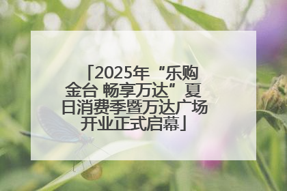 2025年“乐购金台 畅享万达”夏日消费季暨万达广场开业正式启幕