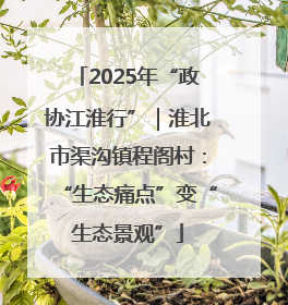 2025年“政协江淮行”｜淮北市渠沟镇程阁村：“生态痛点”变“生态景观”