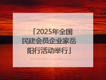 2025年全国民建会员企业家岳阳行活动举行