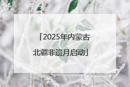 2025年内蒙古北疆非遗月启动