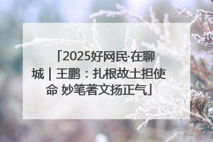 2025好网民·在聊城｜王鹏：扎根故土担使命 妙笔著文扬正气