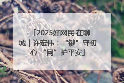 2025好网民·在聊城｜许宏伟：“键”守初心 “网”护平安