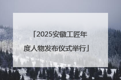 2025安徽工匠年度人物发布仪式举行