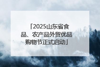 2025山东省食品、农产品外贸优品购物节正式启动