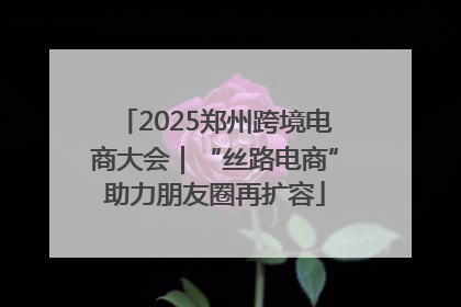 2025郑州跨境电商大会｜“丝路电商”助力朋友圈再扩容