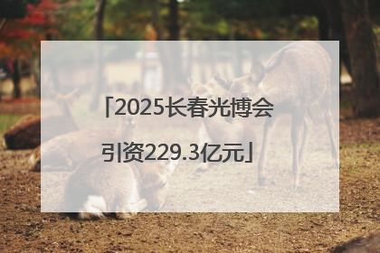 2025长春光博会引资229.3亿元