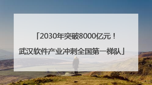 2030年突破8000亿元！武汉软件产业冲刺全国第一梯队