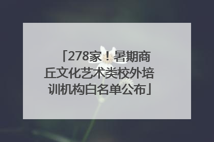 278家！暑期商丘文化艺术类校外培训机构白名单公布