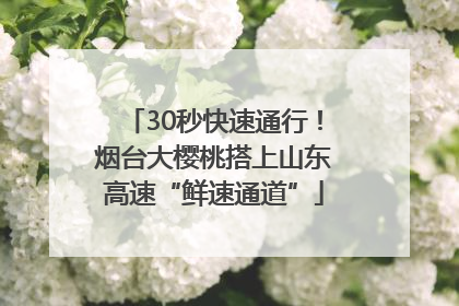 30秒快速通行！烟台大樱桃搭上山东高速“鲜速通道”