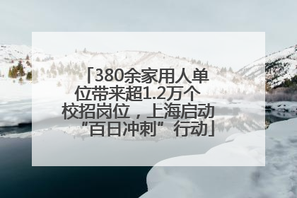 380余家用人单位带来超1.2万个校招岗位，上海启动“百日冲刺”行动