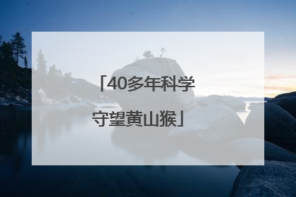 40多年科学守望黄山猴