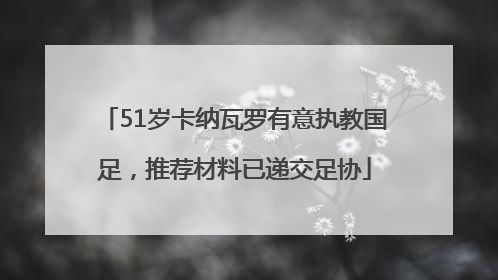 51岁卡纳瓦罗有意执教国足，推荐材料已递交足协