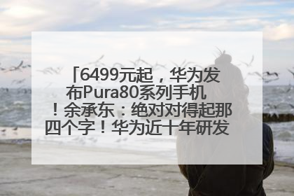 6499元起，华为发布Pura80系列手机！余承东：绝对对得起那四个字！华为近十年研发投入12490亿元