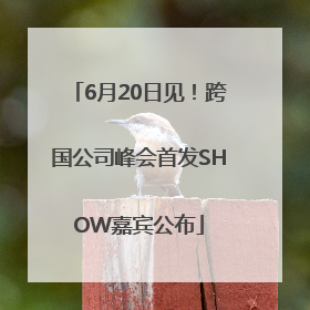 6月20日见！跨国公司峰会首发SHOW嘉宾公布