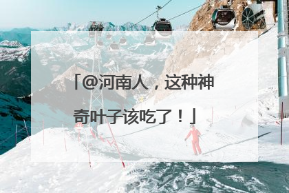 @河南人，这种神奇叶子该吃了！