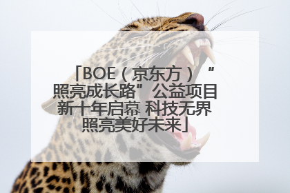 BOE（京东方）“照亮成长路”公益项目新十年启幕 科技无界照亮美好未来