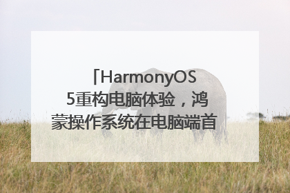 HarmonyOS 5重构电脑体验，鸿蒙操作系统在电脑端首次亮相丨新经济观察